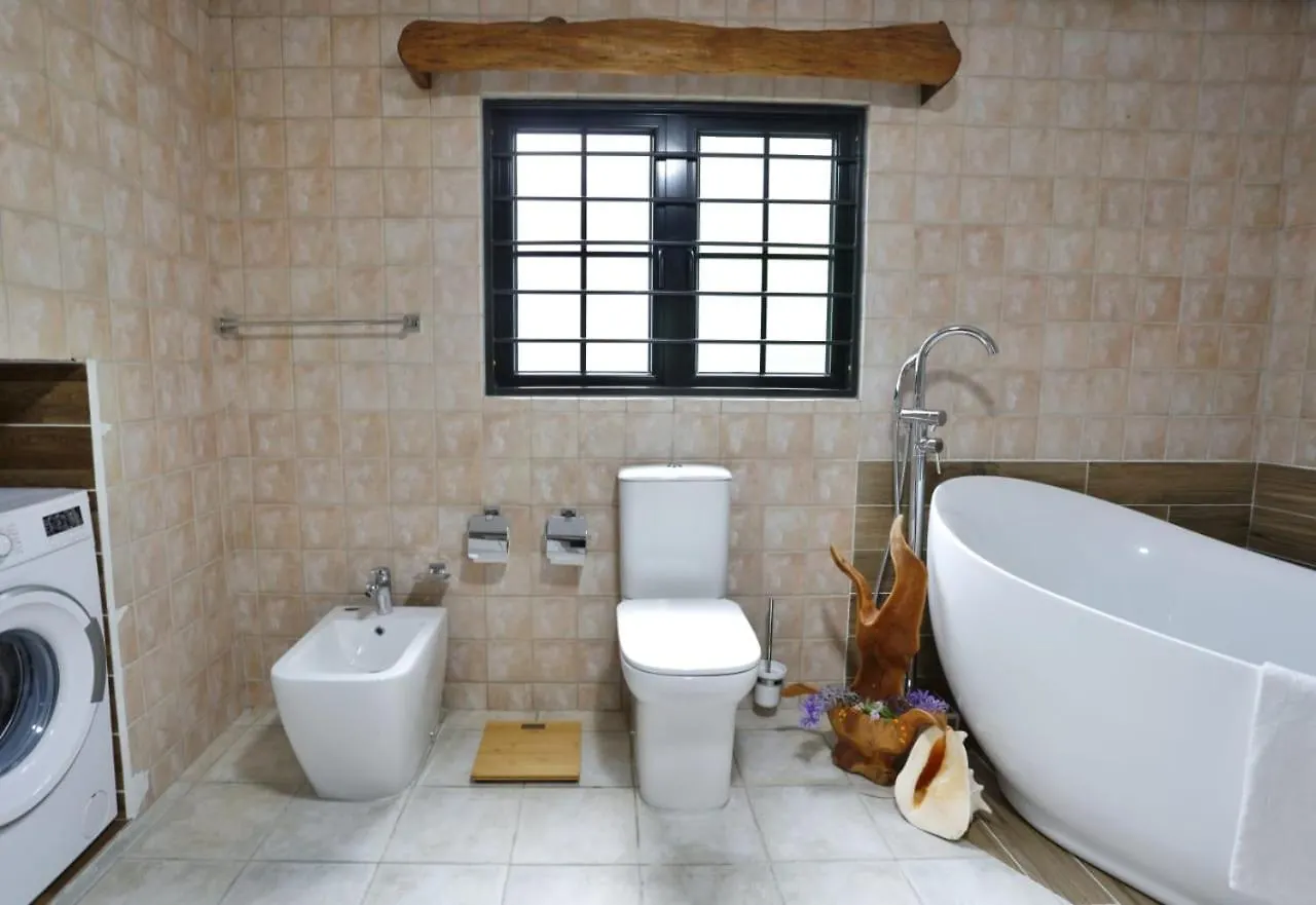 The Salty Palms Apartment Beau Vallon